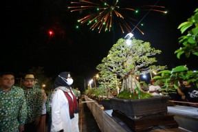 600 Bonsai Senilai Total Rp25 Miliar Dipamerkan di Banyuwangi