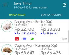 Berikut Daftar Harga Telur dan Daging Ayam Terbaru di Jatim