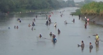 Dam Balongsono Sumobito Ditutup, Warga Jombang Full Senyum Tangkap Ikan