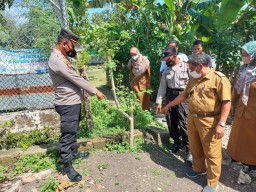 Kronologis Temuan Bayi di Bawah Pohon Kelor