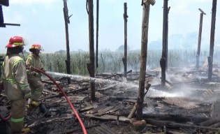 Kandang Ayam di Jombang Hangus Terbakar, Pemilik Rugi Rp300 Juta