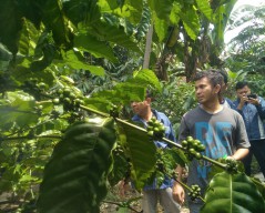 Lilik Budi Bagikan Tips Sukses Budidaya Kopi di Dataran Rendah Bojonegoro