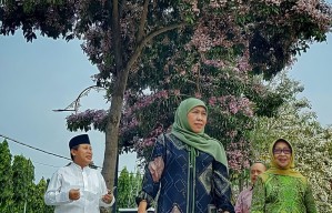 Gubernur Jatim Nikmati Eksotisme Tabebuya di Alun-Alun Jombang