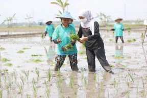 Nilai Tukar Petani Jatim Naik, Gubernur Khofifah Berharap Bisa Ditingkatkan