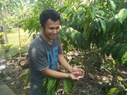Sempat Diragukan, Lilik Budi Sukses Budidaya Kopi di Bojonegoro
