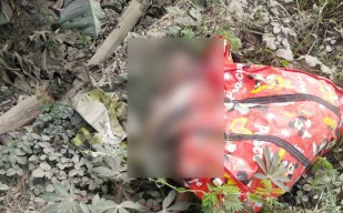 Penemuan Mayat Wanita Dalam Tas Merah di Gresik, Ini Identitasnya