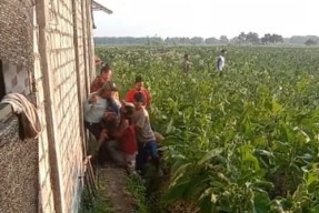 Kesaksian Warga saat Rombongan Pesilat Lakukan Penyerangan di Kabuh, Jombang