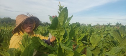 Pemkab Sampang dan KP3 Kompak Maksimalkan Pengawasan Distribusi Pupuk