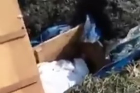 Makam Warga Lamongan Dibongkar, Tali Pocong Hilang, Meninggal Hari Jumat