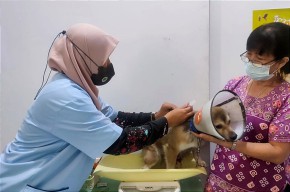 Mau Vaksin Anti-Rabies Hewan Peliharaanmu Gratis? Ini Tempatnya