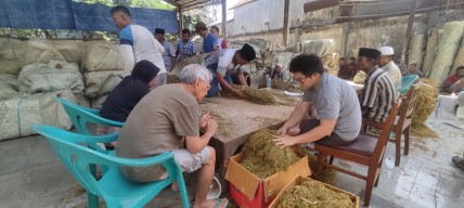 Honor Satu Bulan Pemantau Tembakau di Pamekasan Belum Terbayar, Lho...