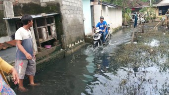 Ratusan Rumah di Tulungagung Terendam Banjir Campur Limbah PG Modjopanggoong