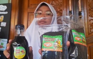 Budidaya Cacing Afrika, Siswa SMP Ini Raup Banyak Cuan