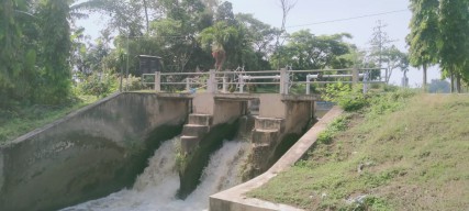 Aroma Wangi Berubah Bau Busuk di Dam Pulorejo Bikin Bulu Kuduk Merinding