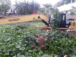 Akar Masalah Mangkraknya Alat Berat dan Enceng Gondok Tutup Sungai di Sidoarjo