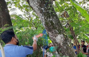 Pria Pendiam asal Bojonegoro Gantung Diri di Belakang Rumah