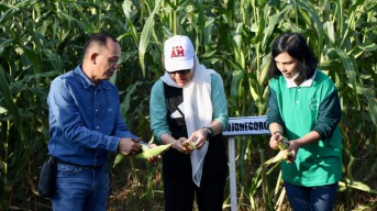 Bupati Bojonegoro Dorong Kembangkan Potensi Pertanian dan Teknologi Buatan Lokal