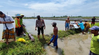 Petani Lamongan Tewas Misterius di Pematang Sawah