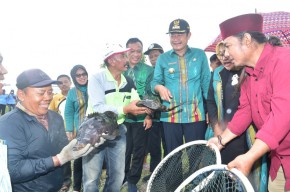 Budidaya Kerapu Lamongan Hasilkan Ratusan Miliar Per Tahun