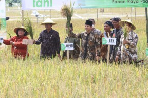 Bangganya Mas Ipin saat Petani di Trenggalek Sukses Panen Raya