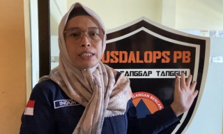 BPBD Siaga 24 Jam untuk Waspadai Pohon Tumbang Saat Pancaroba