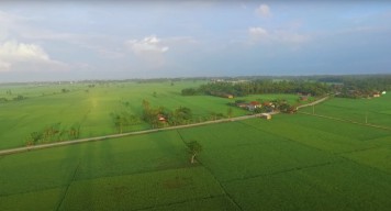 Begini Progres Pengembangan Lumbung Pangan dari Sumatera Hingga Papua