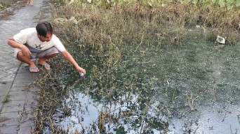 Pabrik Gula Modjopanggoong Tulungagung Akui Limbahnya Cemari Banjir, tapi....