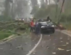 Pohon Tumbang Timpa Mobil dan Motor Tewaskan 1 Orang