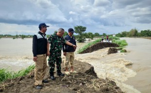 Tanggul di Desa Cermen Gresik Jebol akibat Luapan Kali Lamong