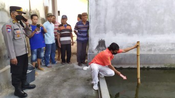 Bocah 2 Tahun Ditemukan Tewas di Kolam Ikan Patin