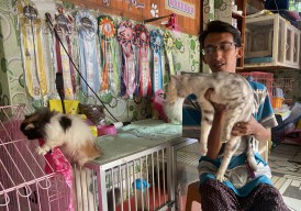 Berkat Anabul, Pria di Ponorogo Dapatkan Pasangan Hingga Cuan