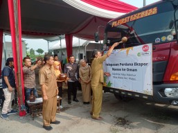 Nanas Kediri Diekspor ke Oman, Mas Dhito: Tingkatkan Nilai Jual Hortikultura