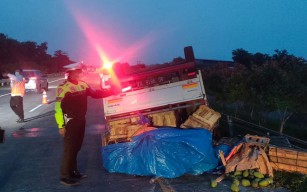Mobil Granmax Terbalik di Tol Jombang-Mojokerto, Muatan Mangga Tumpah ke Jalan