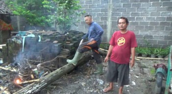 Guru Ngaji di Jombang Tewas Tertimpa Pohon