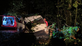 Ningsih Tinampi, Tertimpa Pohon di Mojokerto, Polda Jatim Ringkus 16 Pelaku
