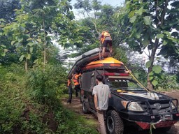 Ya Allah, Pria Jombang Ceburkan Diri ke Brantas Gegara Judi Pilkades