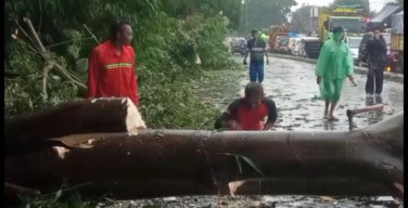 23 Rumah Rusak Diterjang Puting Beliung di Pasuruan