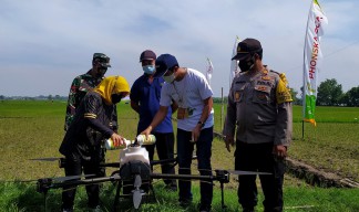 DKPP Lamongan Dorong Petani Gunakan Pupuk Cair