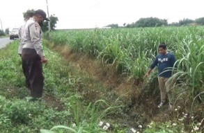 Pemuda di Jombang Ngaku Dibegal Usai Nyemplung Parit Malam-malam, Ternyata...