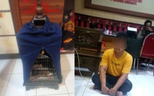 Tepergok saat Mencuri Burung, Pemuda di Sidoarjo Dihajar Warga