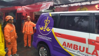 Waspadai Hujan Angin! Mahasiswi Naik Motor Tersungkur Tertimpa Dahan Patah
