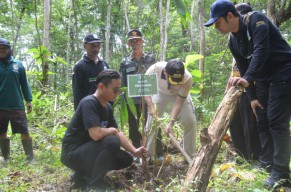 Bupati Trenggalek Ajak Masyarakat Tanam Bambu untuk Kelestarian Alam