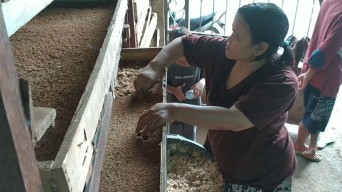 Pria Jombang Hasilkan Uang dari Budi Daya Ulat Kandang