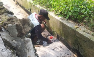 Air Irigasi di Lamongan Diduga Tercemar Limbah, Petani Resah
