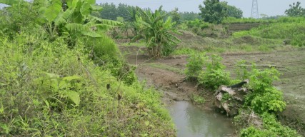 Lahan Pertanian Rusak, Warga Jombang Keluhkan Pembangunan Peternakan Ayam