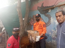 Hendak Buka Warung, Malah Temukan Mayat Bayi Terbungkus Kresek