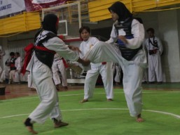 Ribuan Pesilat Berlaga Piala Sri Sultan Hamengku Buwono dan KGPAA Paku Alam