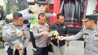 Pantau Arus Lalu Lintas di Pasuruan, Kapolda Jatim Imbau Masyarakat Waspada