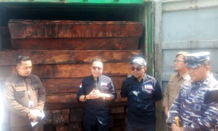 KLHK Gagalkan Penyelundupan 57 Kontainer Kayu Merbau asal Papua