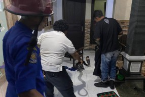 King Kobra 3 Meter Gegerkan Warga di Trenggalek, Evakuasi Berlangsung Dramatis